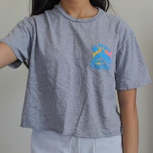 Pink Dolphin Heather Gray Tee
